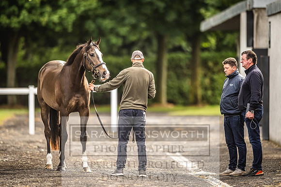 Goffs Land Rover Sale 2022-496