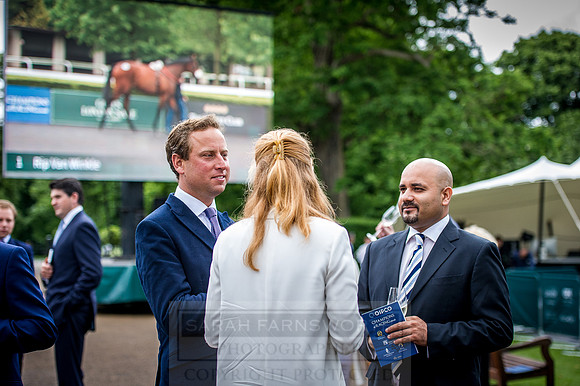 Goffs London Sale 2016-175