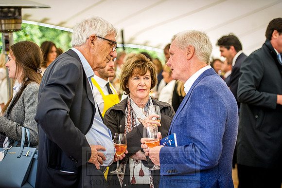 Goffs London Sale 2016-223