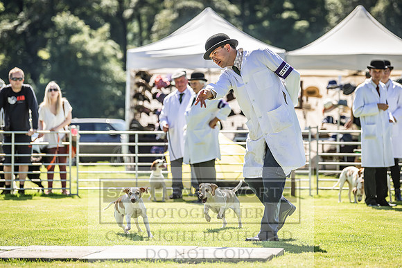 Rydal Hound Show 2022-149