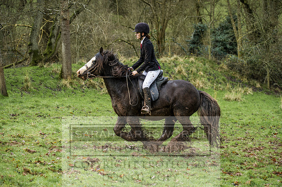 Ludlow 261215-324