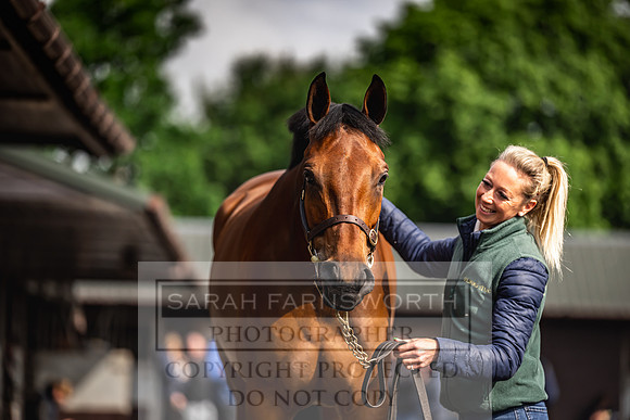 Goffs UK Spring Sale 2024-27