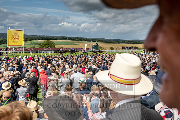 GUK Goodwood Sale 2019-149