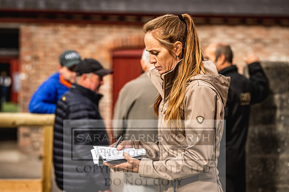 Goffs Yorton Sale 2022-32