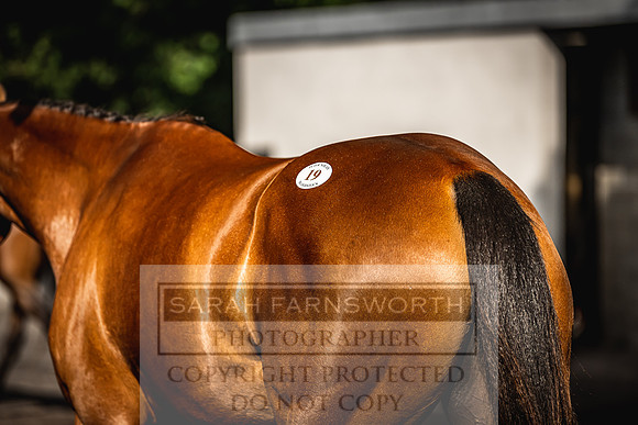 Goffs Land Rover Sale 2022-144