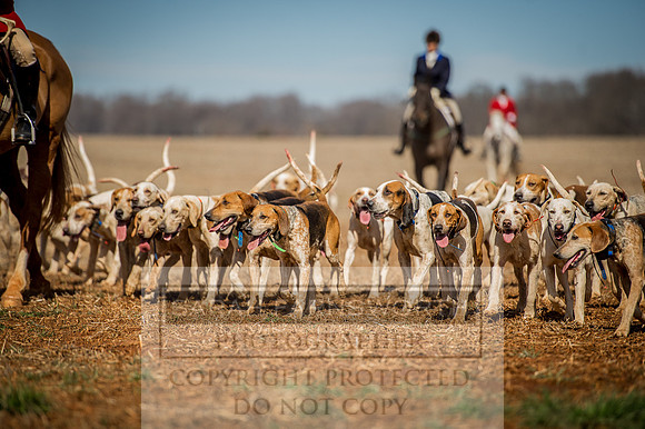 Mooreland Hunt-94