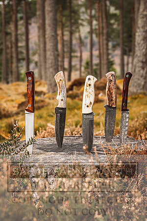 Purdey AW21-440