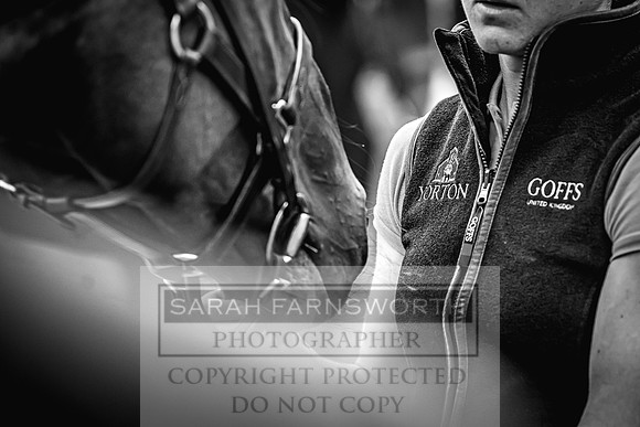 Goffs Yorton Sale 2022-39