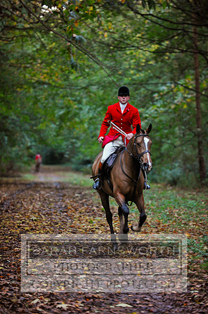 Brocklesby 021113 CF3 1532