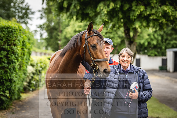 Goffs Land Rover Sale 2022-469