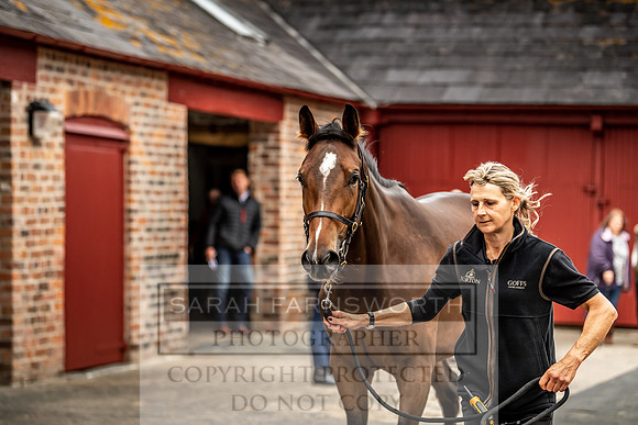GUK Yorton Sale 2019-142