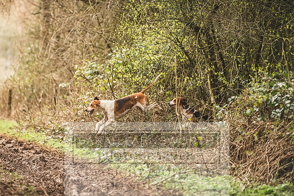 Thurlow at Heythrop 130319-625
