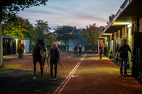Goffs Orby 2015 -6