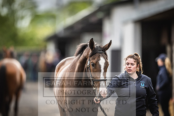 Goffs Land Rover Sale 2022-510