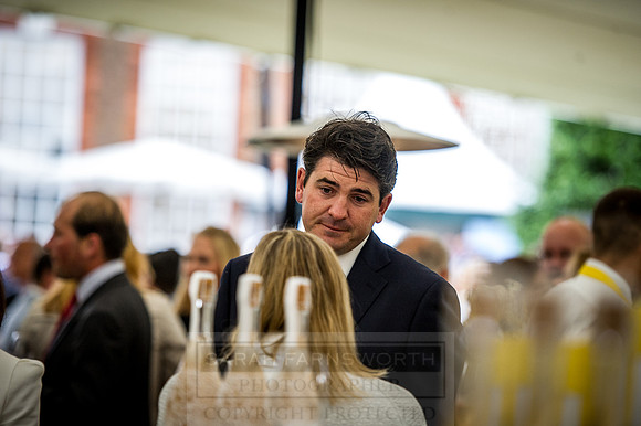 Goffs London Sale 2016-215