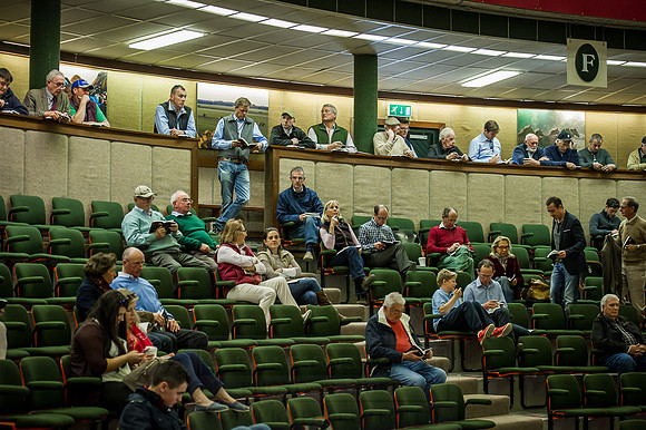 Goffs Orby 2015 -344