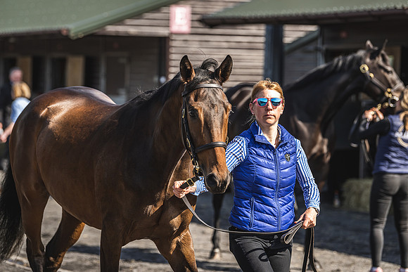 Goffs UK Spring Sale 22 Day 2-20