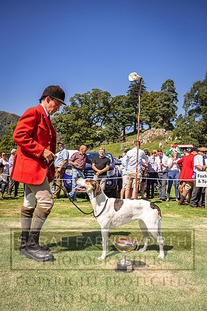 Rydal Hound Show 2022-134