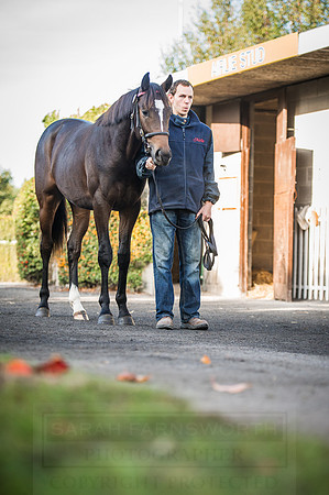 Goffs Orby 2015 -205