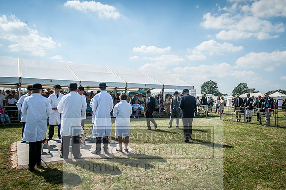PFoH 2016-606