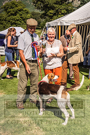 Rydal Hound Show 2022-21