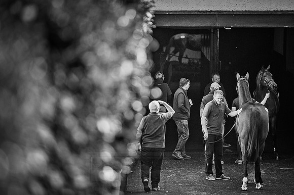 Goffs Orby 2015 -594 bw
