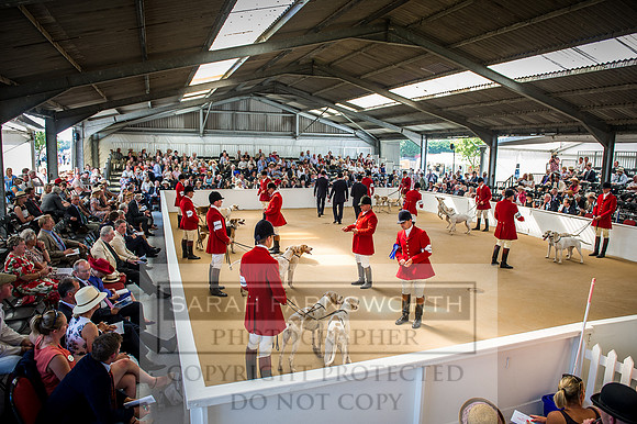 PFoH 2016-597