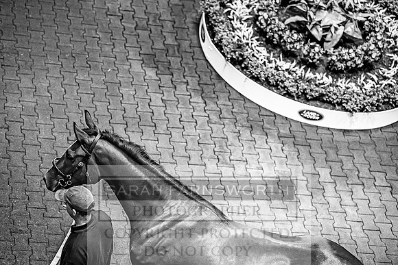 Goffs Land Rover Sale 2022-172