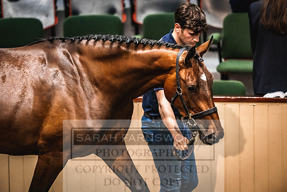 Goffs Land Rover Sale 2022-621