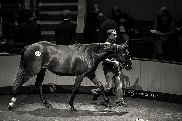 Goffs Orby14 CF10 181 bw