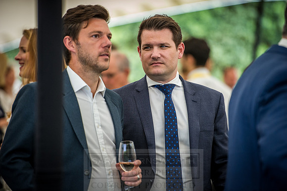 Goffs London Sale 2016-287