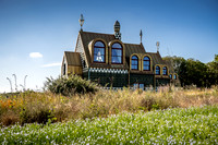A House For Essex-19