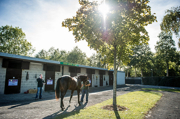 Goffs Orby 2015 -389