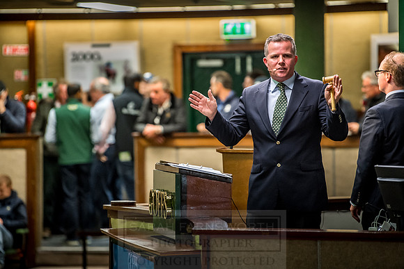 Goffs Orby 2018 Day 1-307