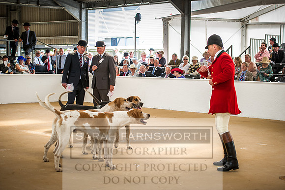 PFoH 2016-263