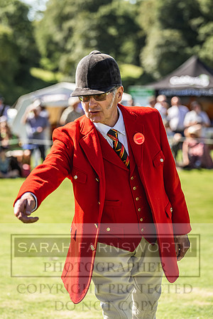 Rydal Hound Show 2022-15