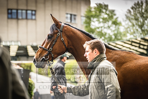 Goffs Land Rover Sale 2022-587