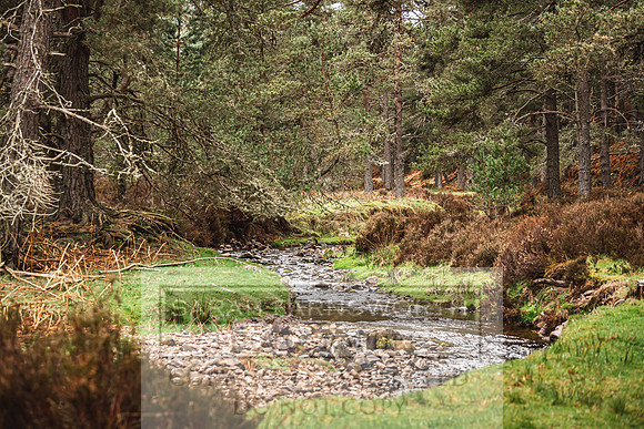Purdey AW21 Recce Day-23