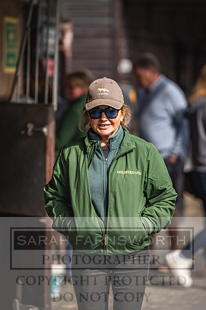 Goffs UK Spring Sale 2024-32