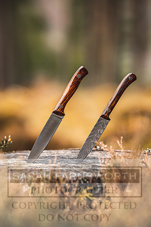Purdey AW21-445