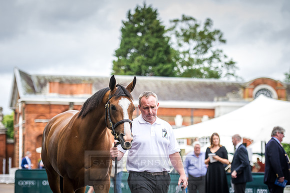 Goffs London Sale 2016-60