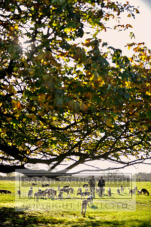 Brocklesy Estate CF6 585