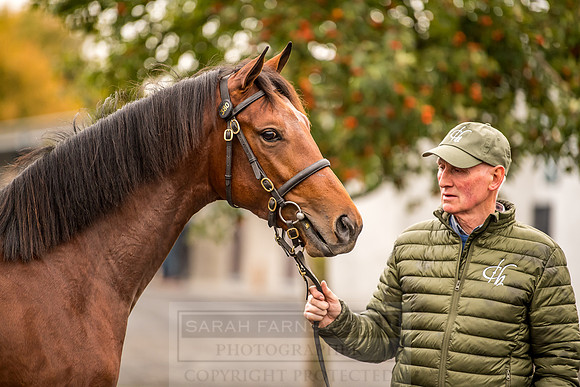 Goffs Orby 2018 Day 1-28
