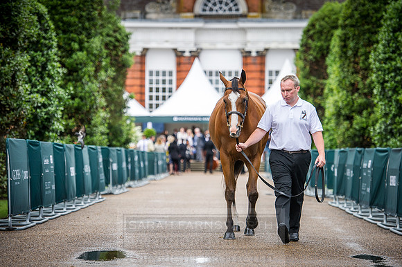 Goffs London Sale 2016-93