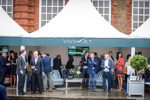 Goffs London Sale 2016-315