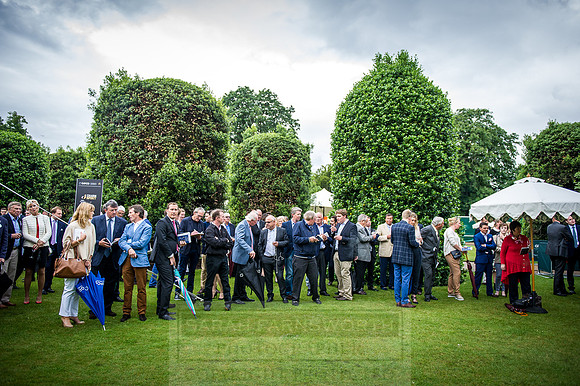 Goffs London Sale 2016-274
