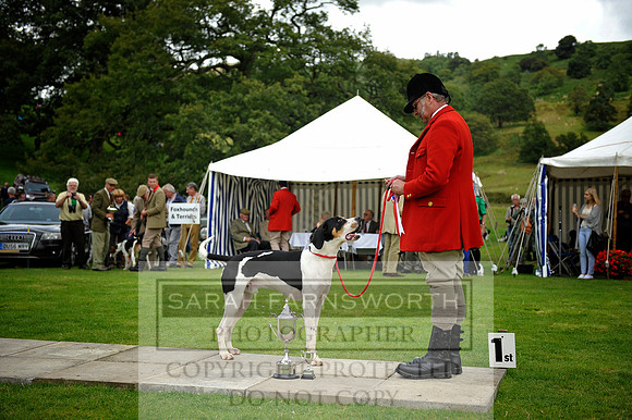 Rydal 2014 CF1 312