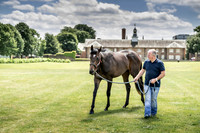 Goffs London Sale 2019-4