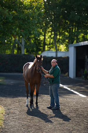Goffs Orby14 CF7 287