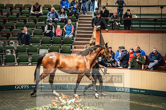 Goffs Land Rover Sale 2022-662